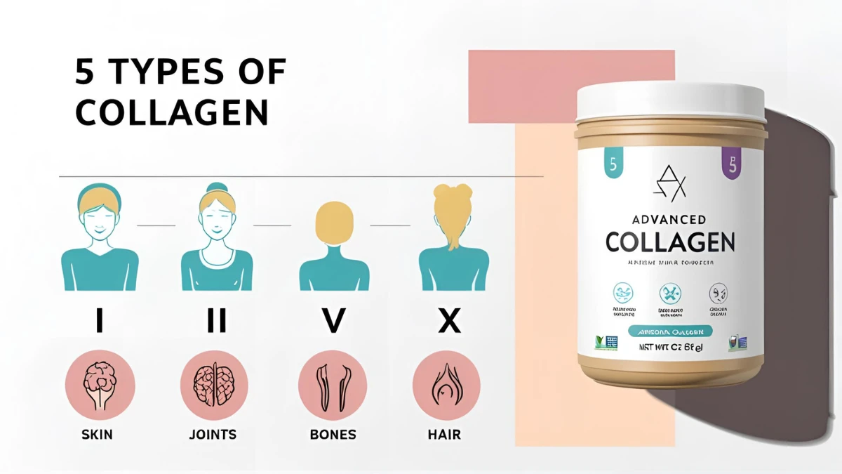 Why Advanced Collagen’s 5-Type Blend Works Better Best Collagen Supplement for Skin and Joints: 5 types of collagen in Advanced Collagen Plus and their benefits for skin, joints, bones, hair, and digestion